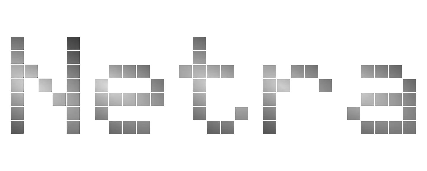 Netra platform visualization